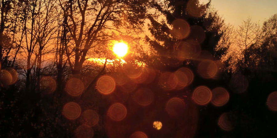 WhatsApp Image 2025-11-23 at 20.15.54.jpeg