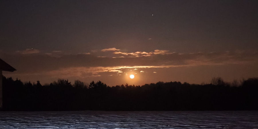 WhatsApp Image 2026-02-04 at 15.50.03.jpeg