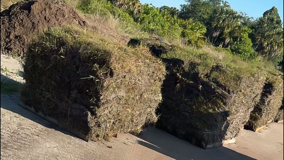 Sod Installation.mp4