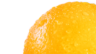 INTERMARCHE - Le jus le plus frais " Devise De Marque"