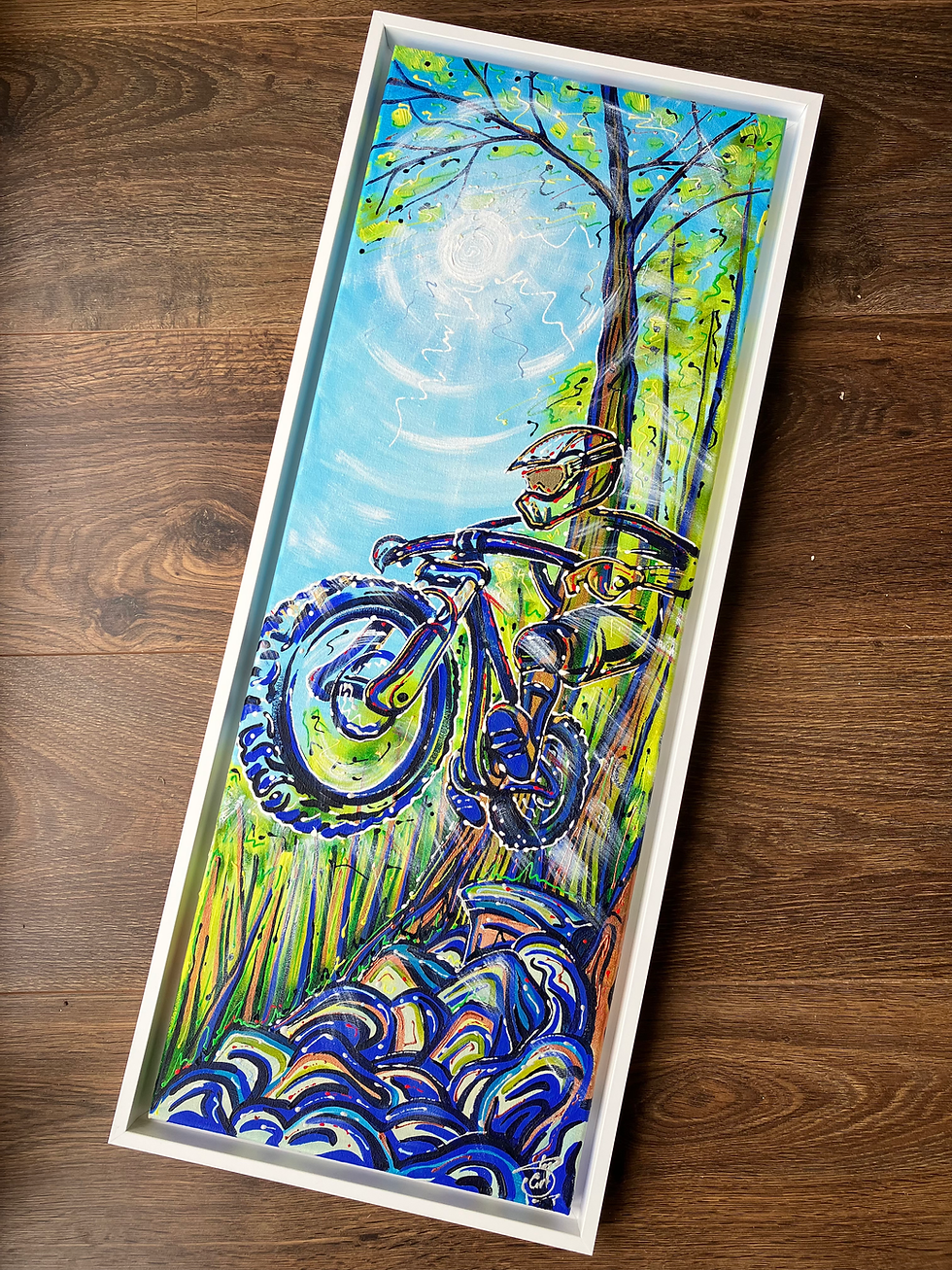 Thumbnail: ‘Flying on the MTB’ 30cm x 80cm acrylics on shallow canvas 