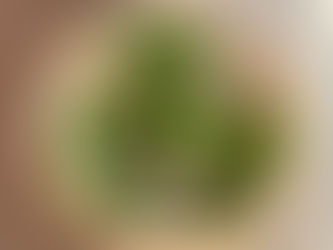 Holiday Arugula Pear Pomegranate Salad 