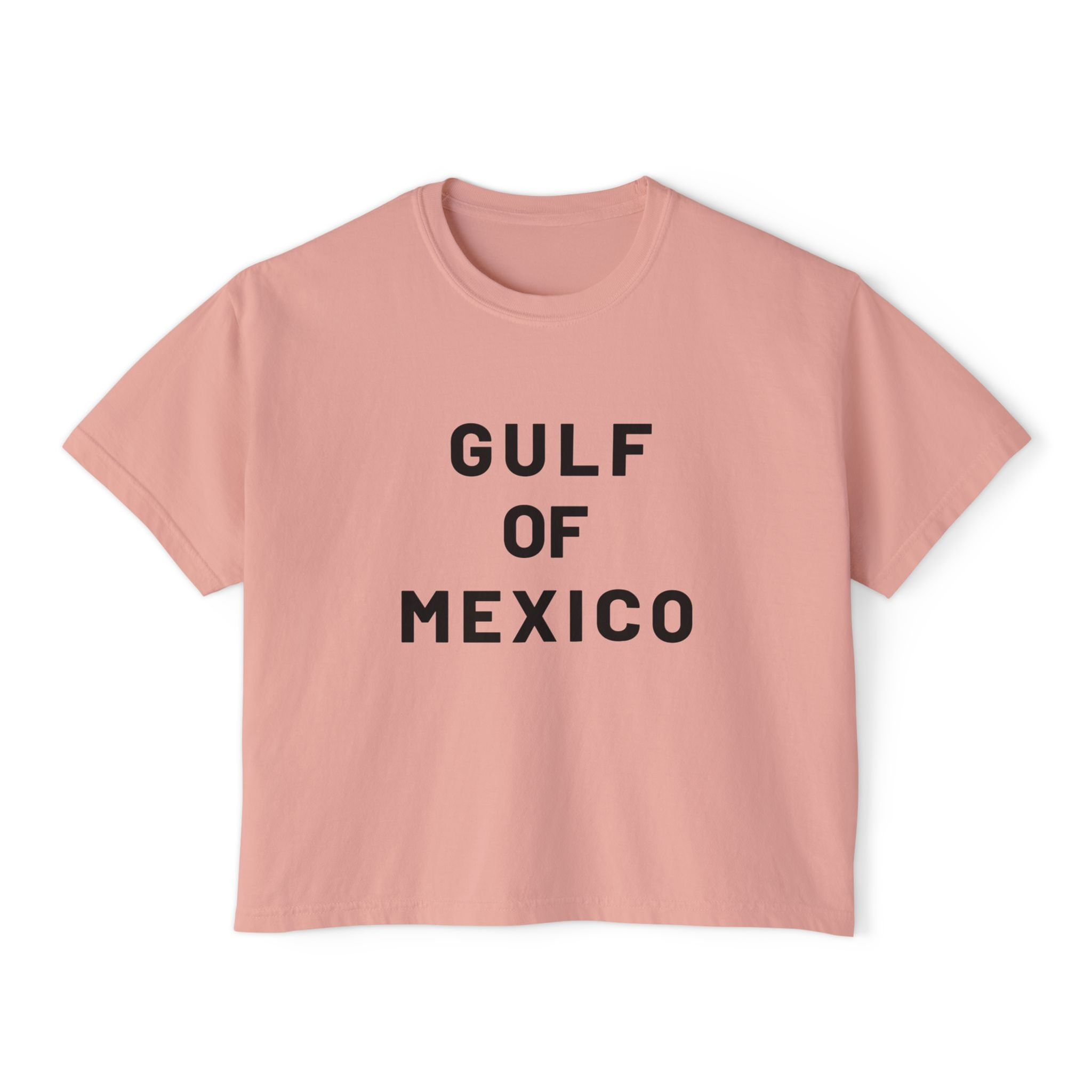 Gulf of Mexico Boxy Premium Tee