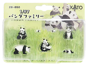 IMG_7377.png