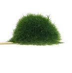 mofmof004.png