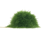 mofmof005.png