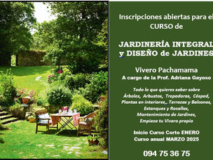 FELICES FIESTAS !!! y EL MEJOR 2025 PARA TODOS!!! 