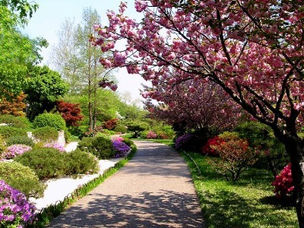 DISEÑO de JARDINES… El Curso