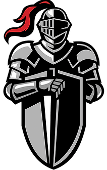 Realm Defense, IT/Cybersecurity Logo