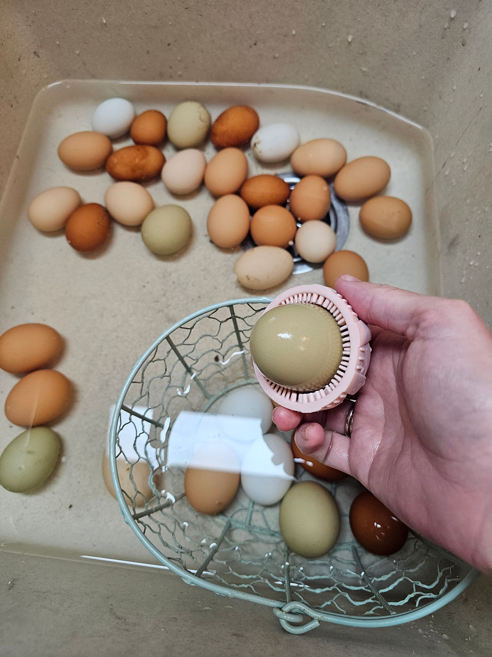Thumbnail: Cottage Food- Eggs