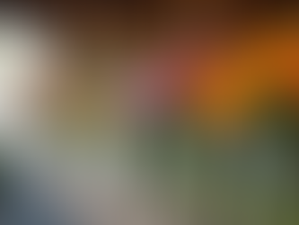 Craft Unique Creative Flower Bar Options for Events