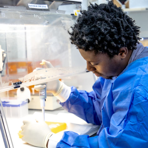 Novo artigo partilha experiência que culminou na acreditação internacional ISO15189 do laboratório do CISM 