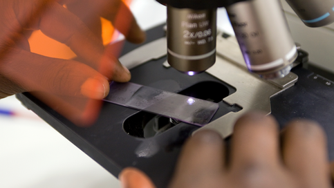 AFRICAI-RI: BUILDING AFRICA’S FIRST FEDERATED IMAGING RESEARCH INFRASTRUCTURE FOR TRUSTWORTHY AI IN MEDICAL IMAGING