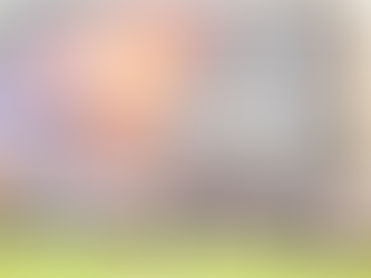 INVESTIGADORES DO CISM PARTICIPAM EM FORMAÇÃO AFRICANA SOBRE RESISTÊNCIA ANTIMICROBIANA NA ÁFRICA DO SUL 