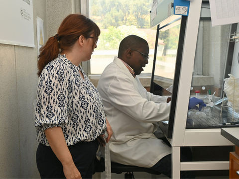 CISM researcher completes scientific residency at Nova University Lisbon