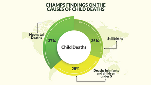 O QUE NOS DIZEM OS DADOS DE VIGILÂNCIA DA SAÚDE E PREVENÇÃO DA MORTALIDADE INFANTIL 