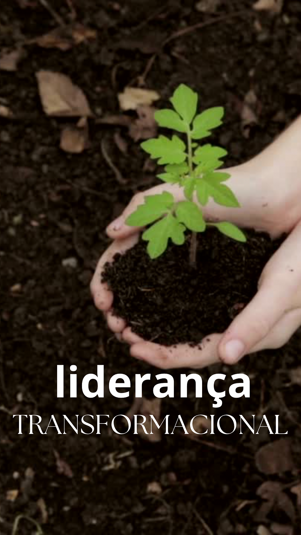 Liderança Transformacional