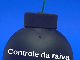 Navegando a Raiva: A Inteligência Emocional como Farol no Mundo do Trabalho