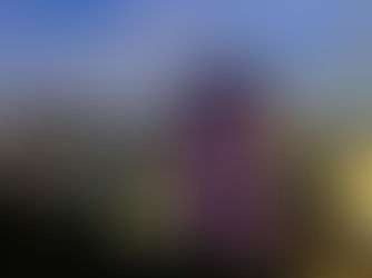 Caso de ensino - Hotéis Jardins