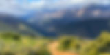 black mountain (54)_edited.jpg