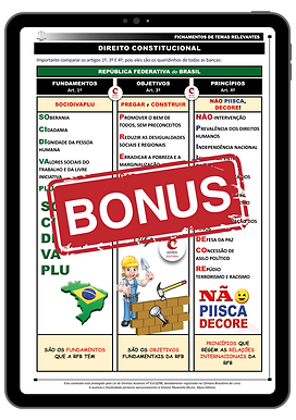 Apostila Esquematizada Colorida TSE 2024 (16).png