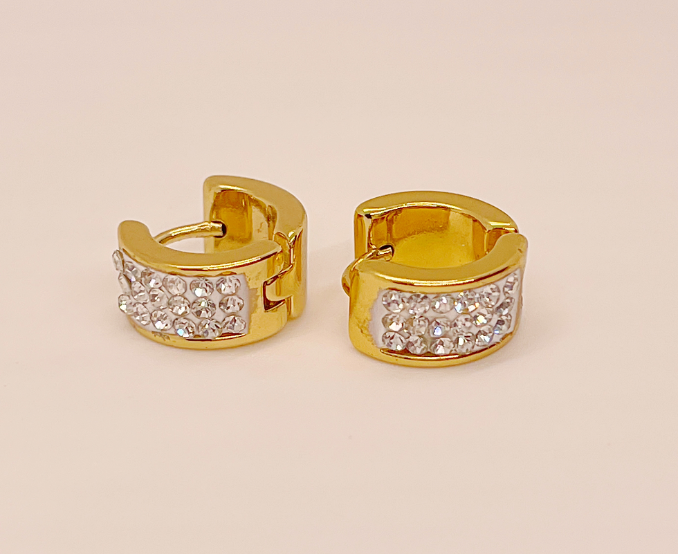 Thumbnail: Unisex Stainless Steel Earrings 
