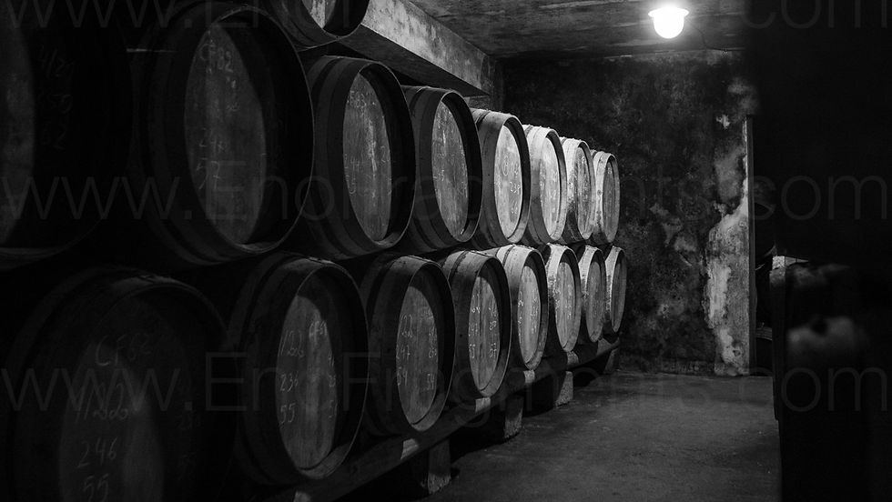very old wine cellar full of oak barrels in portugal