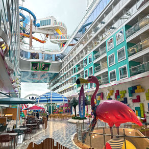 Miami hotels with shuttles to airport to cruise port