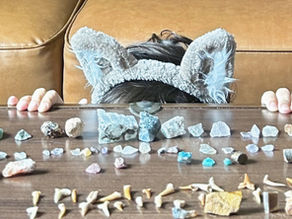 Is Great Wolf Lodge Perryville, Maryland, Worth It? Honest Review + Family Tips (2026)