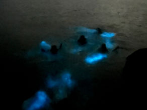 La Parguera Bioluminescent Bay Tour: Sunset Boat Charter & Night Swim with Kids