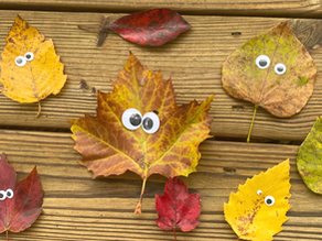10 Picture Books About Fall to Enjoy with Your Kids