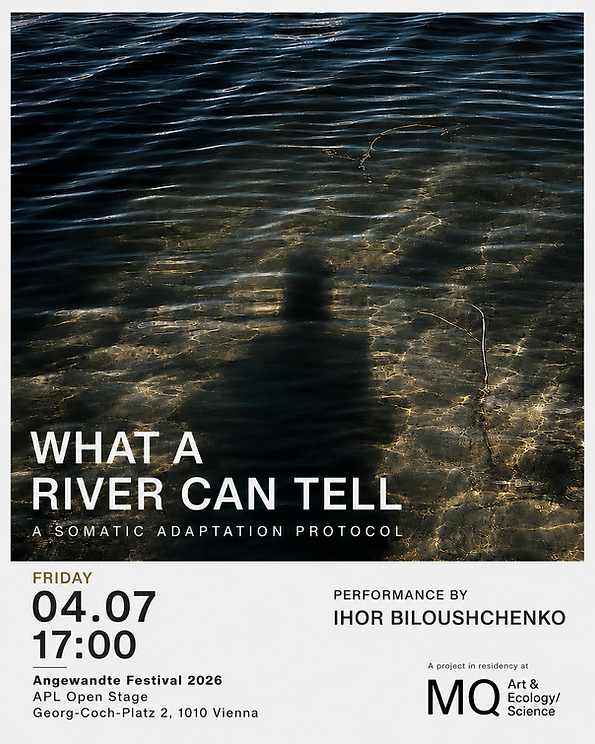 Biloushchenko Angewandte Performance.PNG
