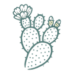 Prickly pear illustration, representing Mediterranean warmth and rustic Sicilian decor.