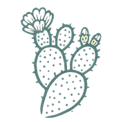 Prickly pear illustration, representing Mediterranean warmth and rustic Sicilian decor.