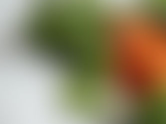 Fresh herbs and veggies