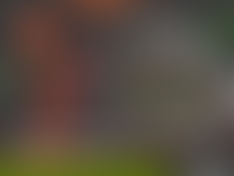 Budget Friendly Meals