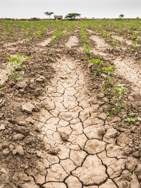 CHANGEMENTS CLIMATIQUES ET « IMPACT » SUR L’EAU POTABLE