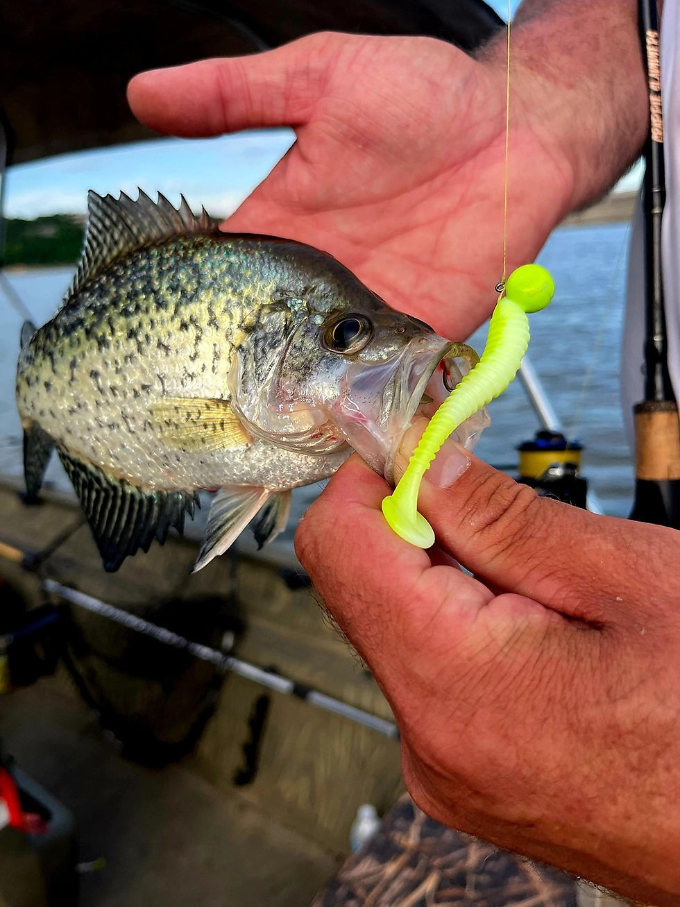 3" Rippers