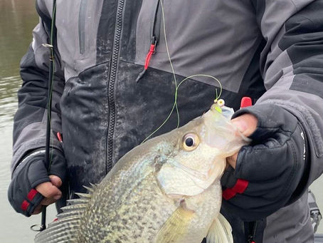 Fishing Report 3-10