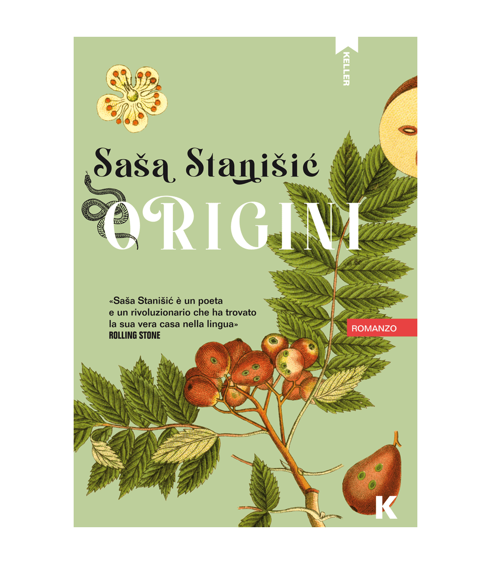 Image-empty-state_edited_edited_edited.j