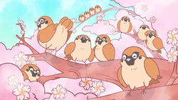 042 京都でお花見だに ゃ！