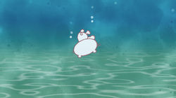 033 沖縄の海だにゃ！Part. 2