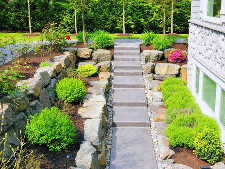 Hardscape vs Softscape: What Your Garden Truly Needs