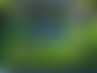 Landscaping Services in Chennai – Transform Your Space into a Green Paradise