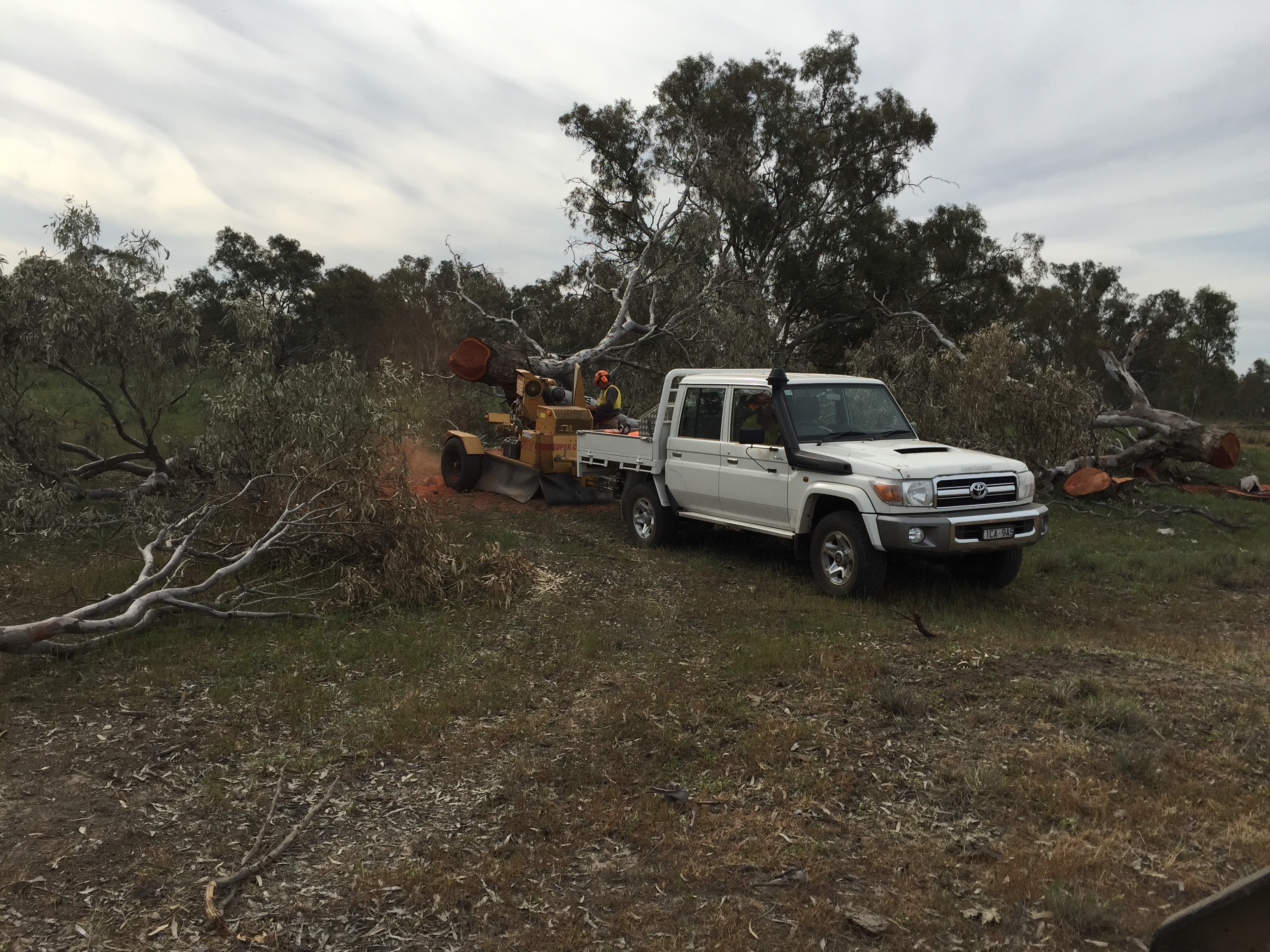 Stump Grinding Albury Wodonga