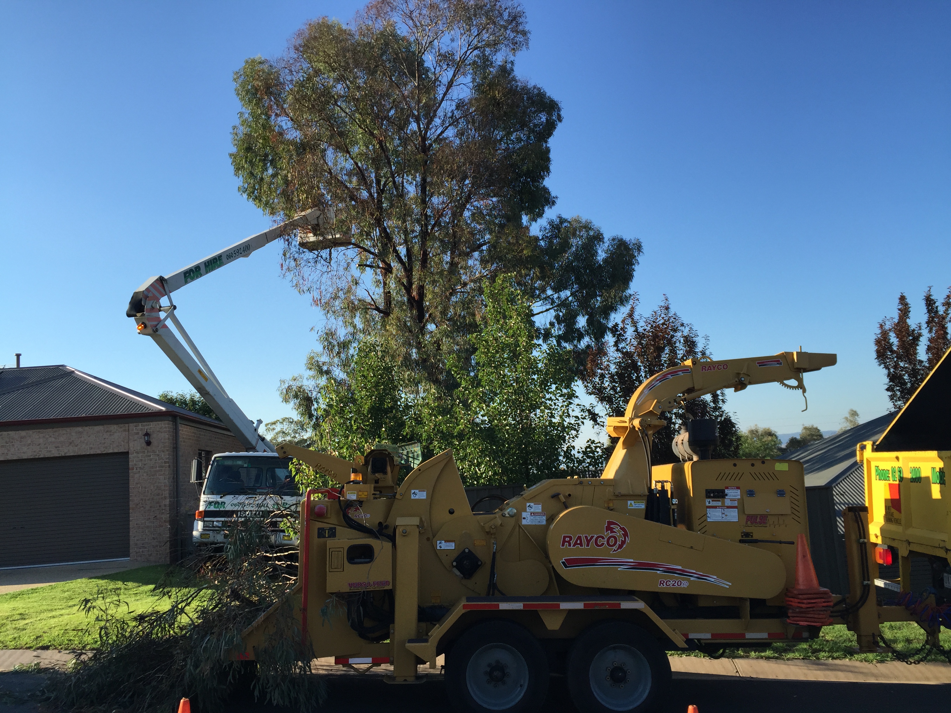 Tree Trimming, Wood Chipping Albury