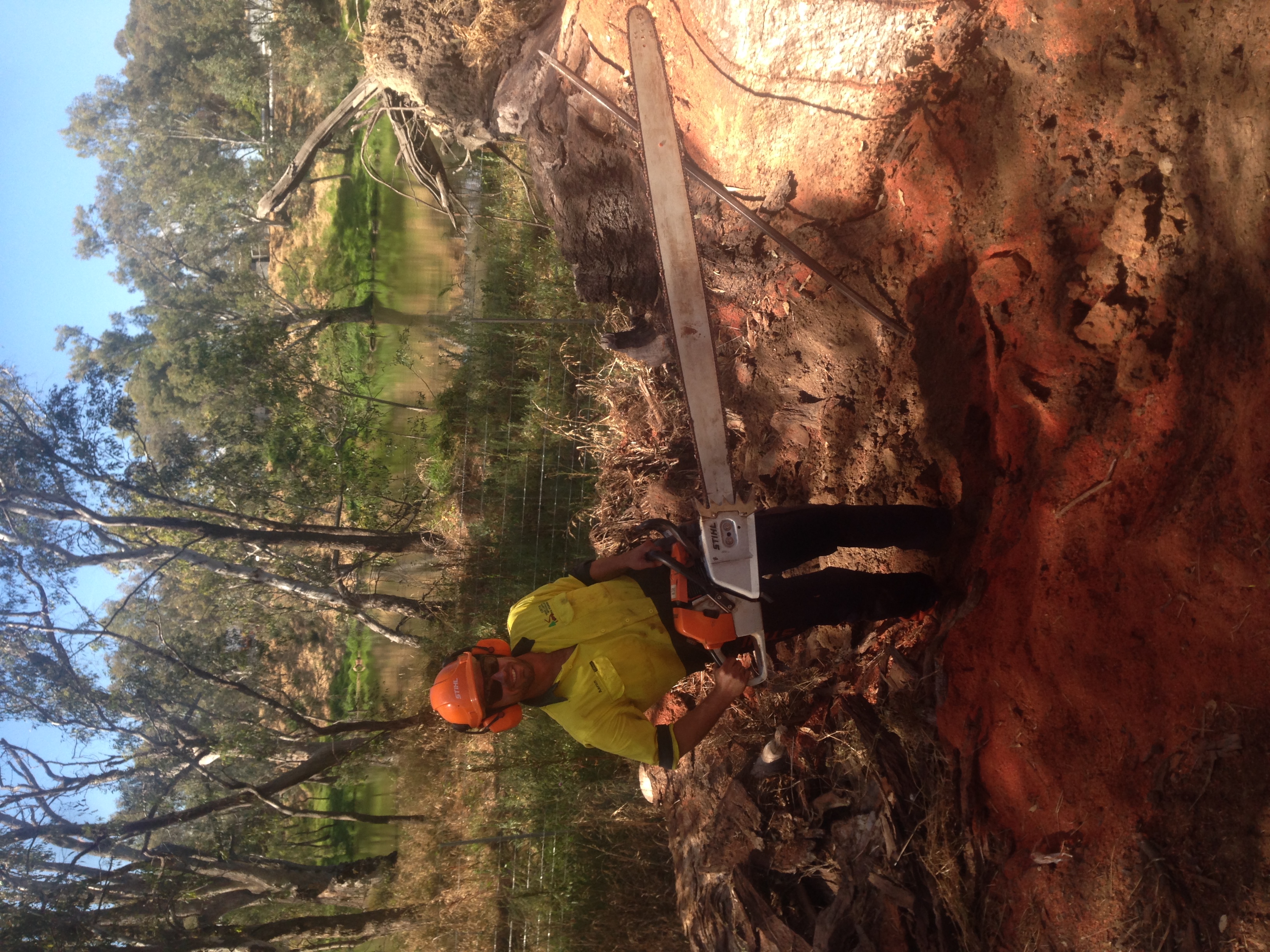 Tree Removal North East Victoria