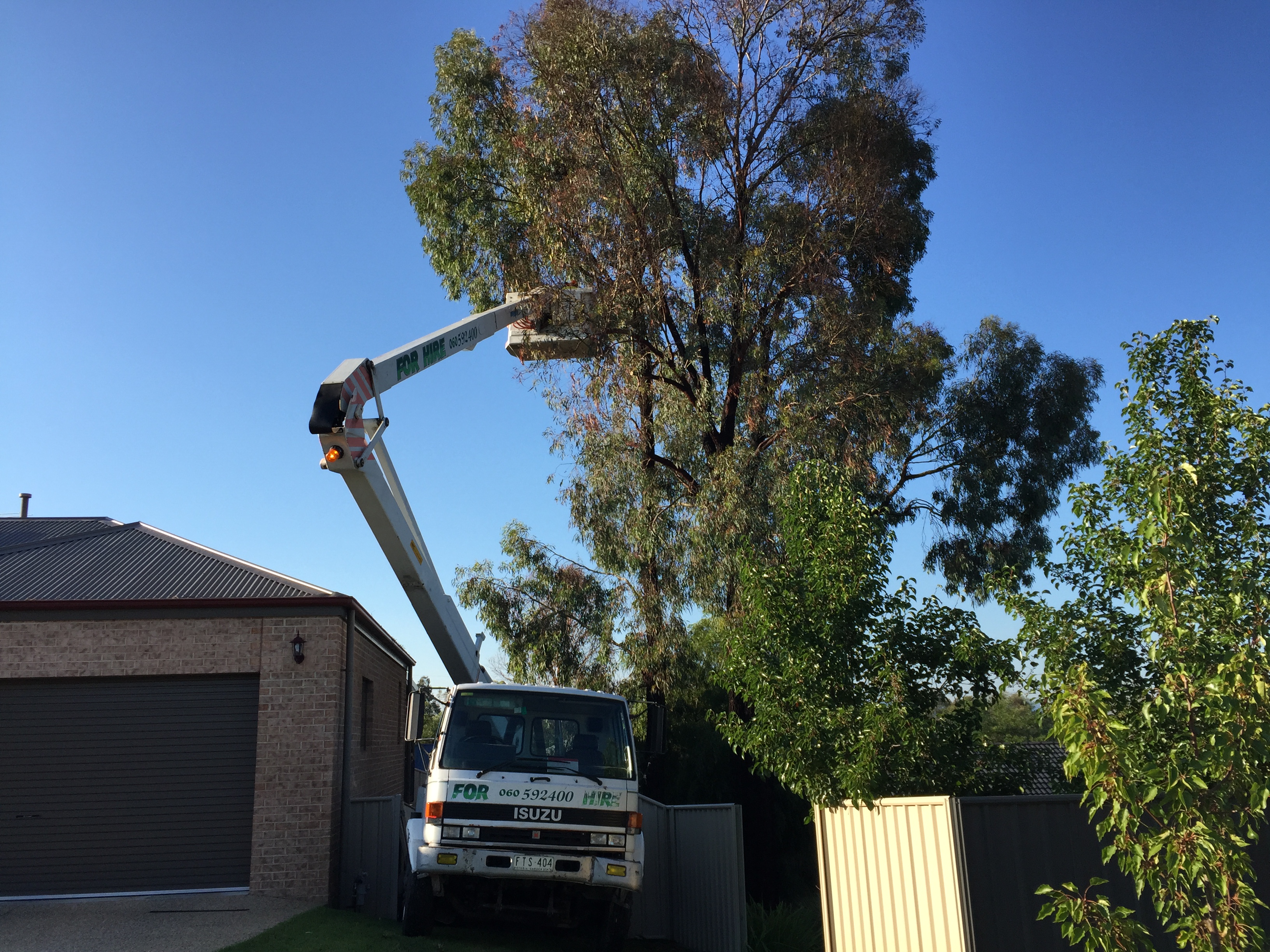 Hire Tower- Tree Trimming NE Vic