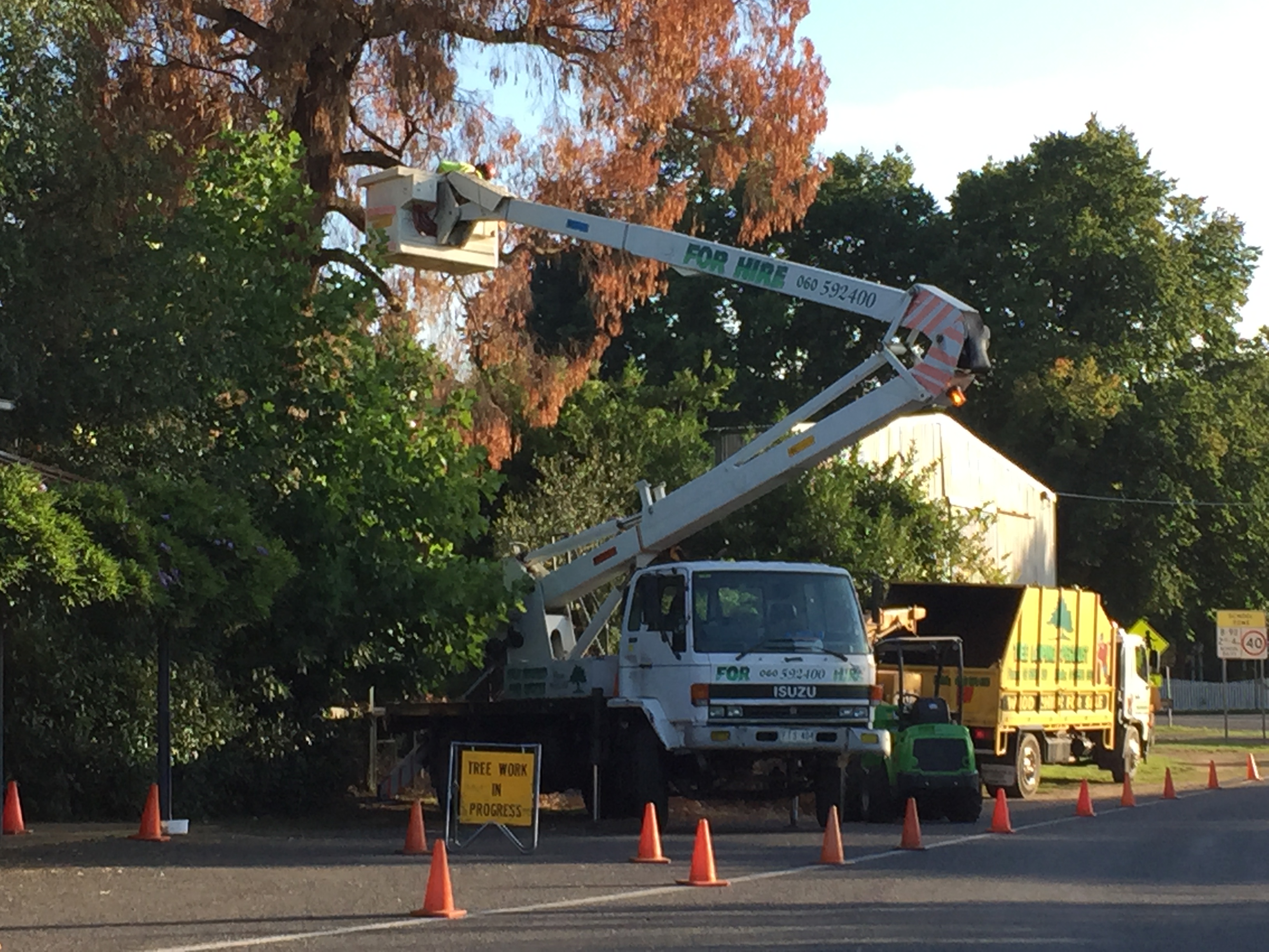 Cherry Picker North East Victoria