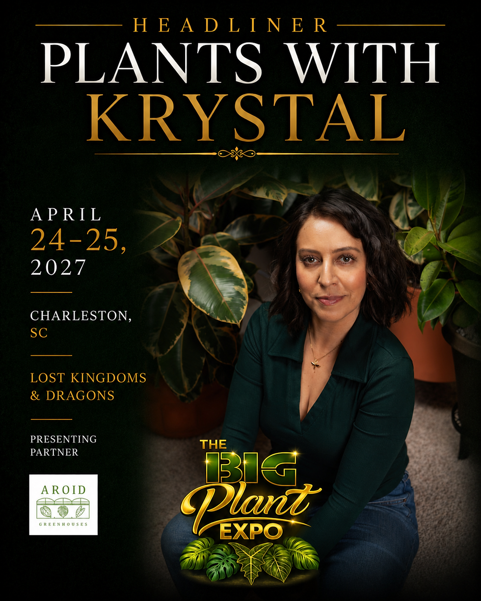 Thumbnail: More Than A Plant